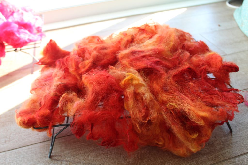 firey orange alpaca fleece drying